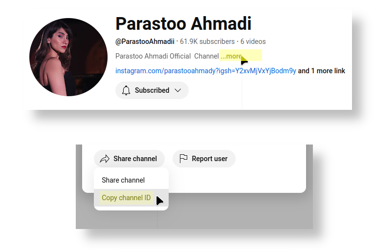 Tube2Sheet Free Channel ID Finder Tool